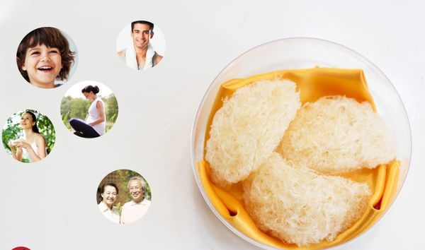 Ăn tổ yến bổ gì ? tổ yến có tác dụng gì – Yến sào Tấn Hưng
