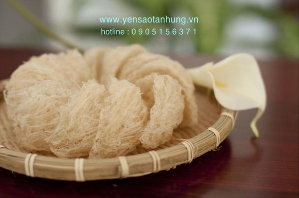 Yến Sào Cù Lao Chàm tại Hà Tĩnh
