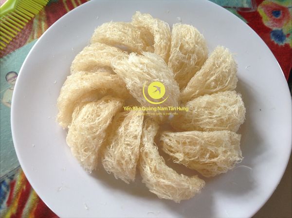 Yến Sào Cù Lao Chàm tại Tp Vinh