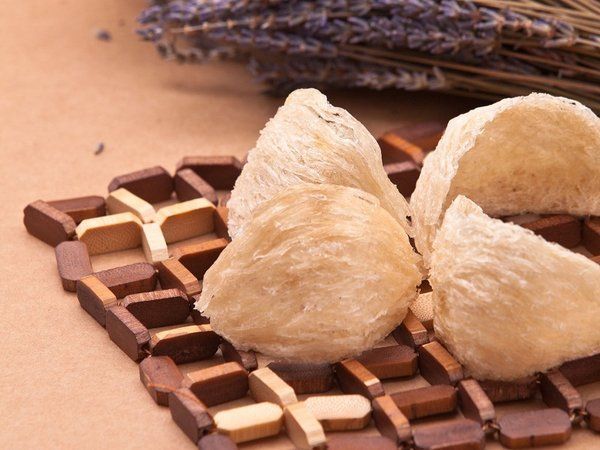 Cách bảo quản tổ yến chuẩn nhất – Yến Sào Tấn Hưng