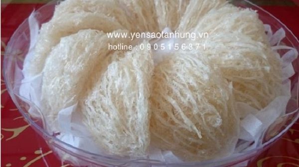 Sử dụng Yến Sào đúng cách